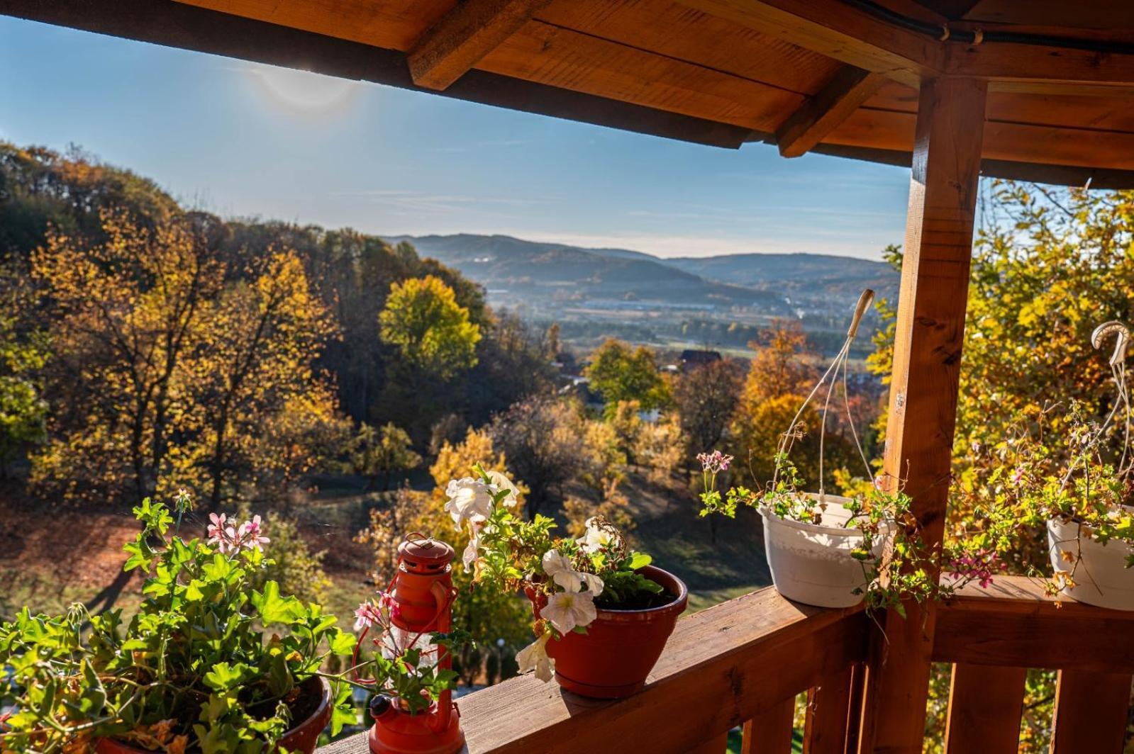 La Maria Si Ioana Apartment Curtea De Arges Luaran gambar